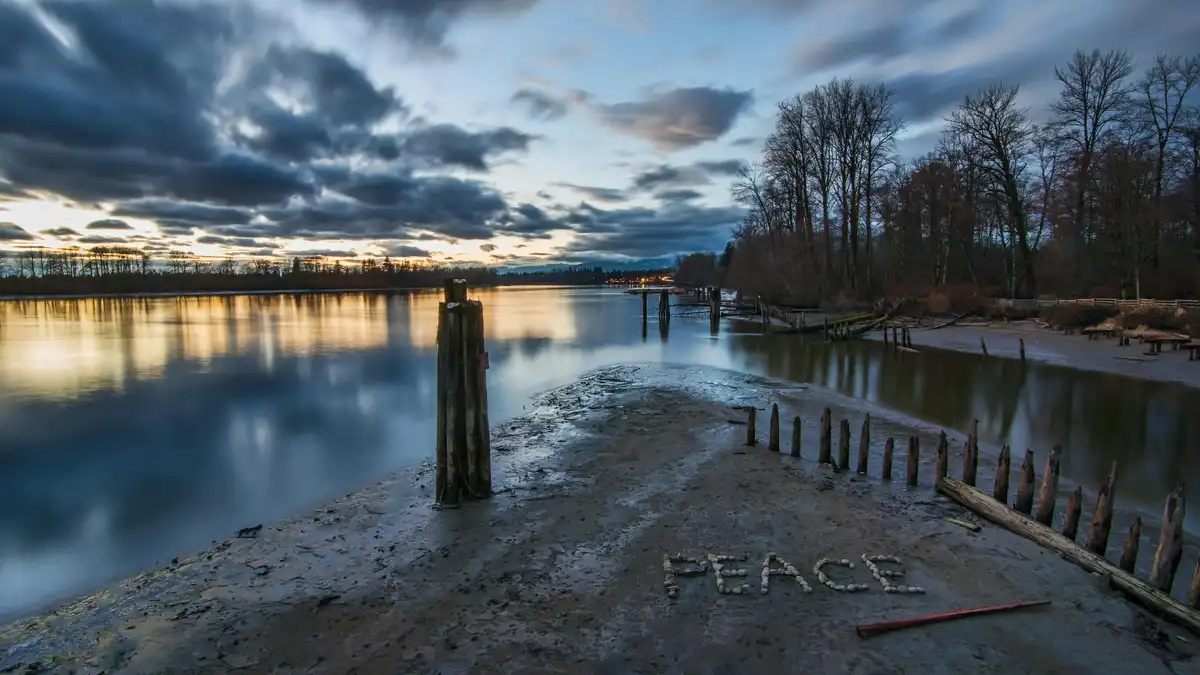 A message from the twilight riverbank