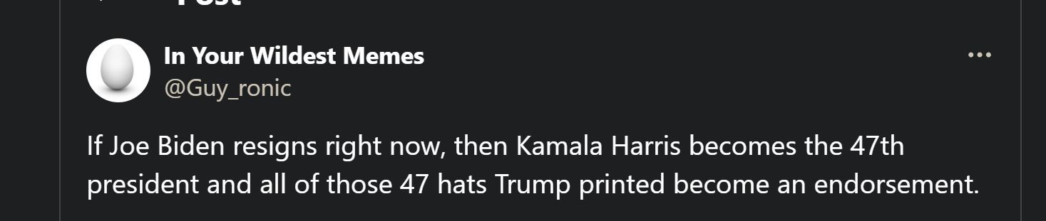 A screenshot of a tweet from the account 'In Your Wildest Memes' (@Guy_ronic) with a dark background and white text. The…