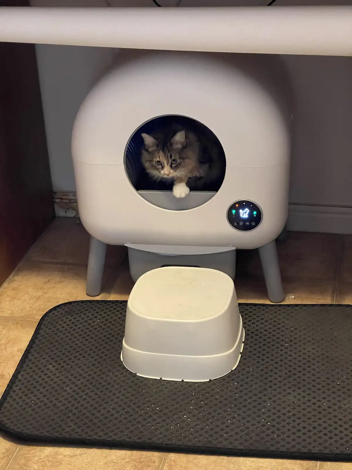 A fluffy long-haired cat with a white paw is peeking out from the circular entrance of a modern, white, self-cleaning litter…
