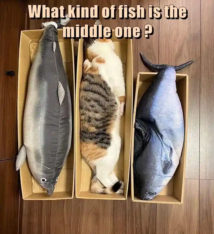 A Catfish Surprise!