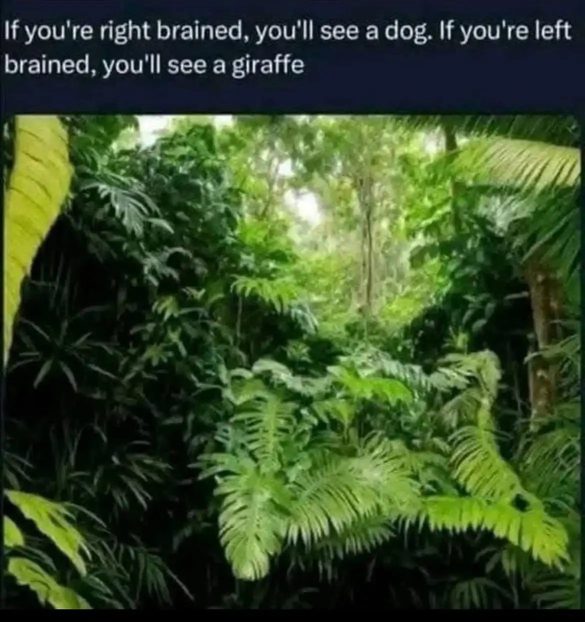 Challenge Your Mind with This Fun Brain Test