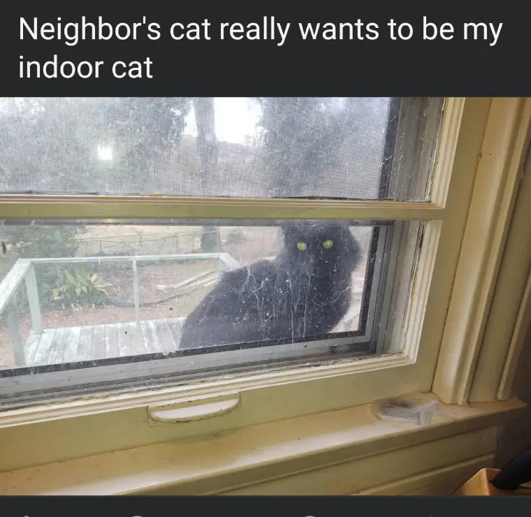 I've Already Got Two in My Collection
