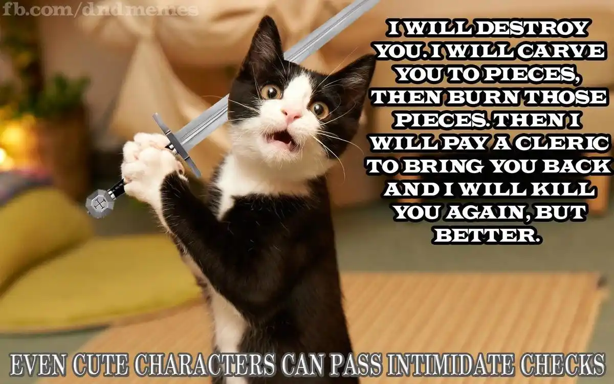 A black and white cat stands upright, holding a toy sword with a determined, slightly goofy expression. Overlaid text reads…