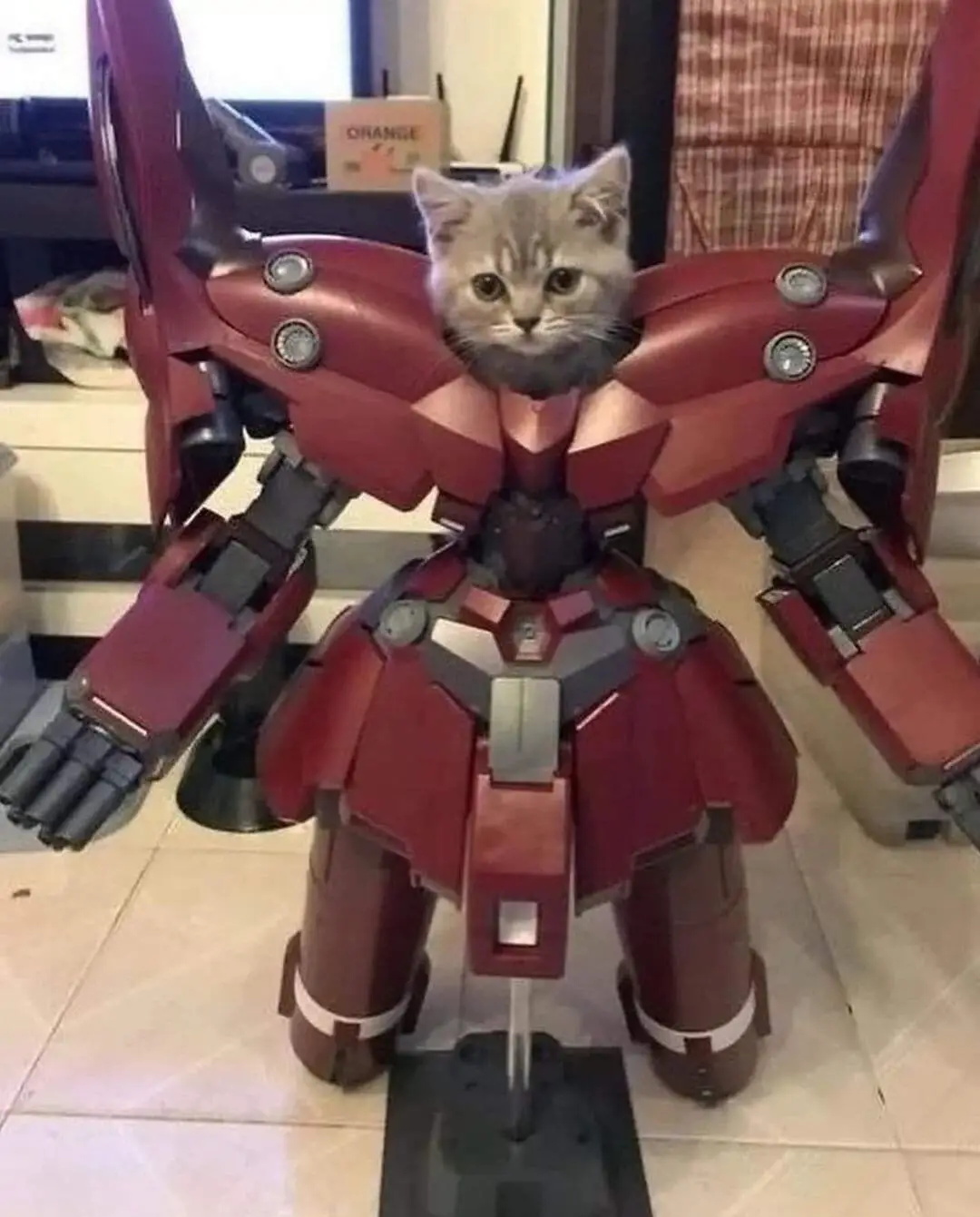 Introducing Mecha Cat, ready to take on the world!
