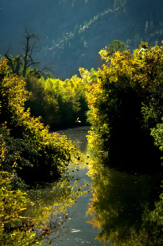 A serene landscape photo shows a river flanked by vibrant green and yellow foliage, with sunlight filtering through trees…