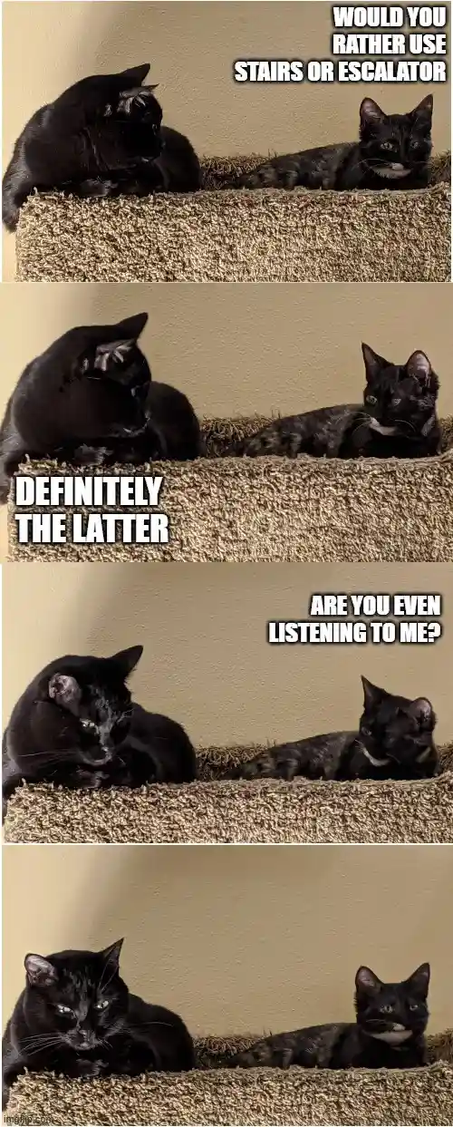 A four-panel meme featuring two black cats on a carpeted surface. The first panel asks 'WOULD YOU RATHER USE STAIRS OR…