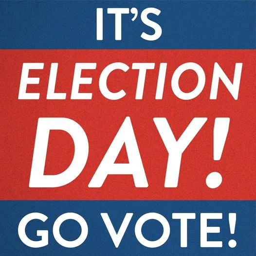 Make Your Voice Heard: Go Vote!