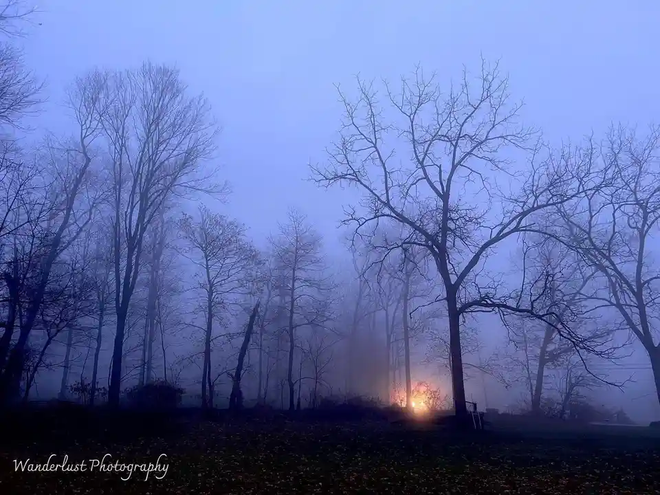 A misty, blue-toned forest scene with bare trees silhouetted against a hazy sky, where a warm, glowing light source is…