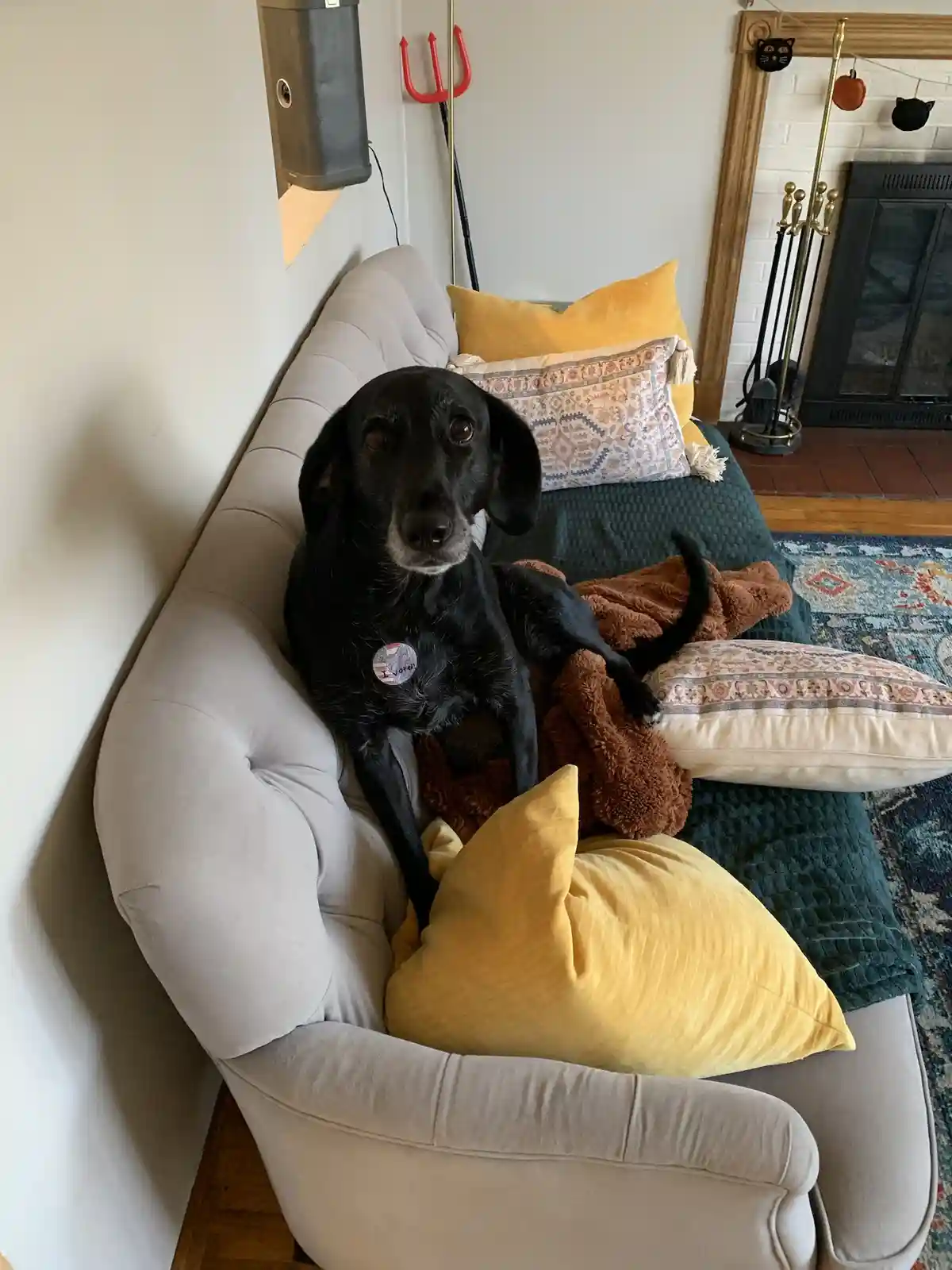 Beans Did Her Part! What About You?
