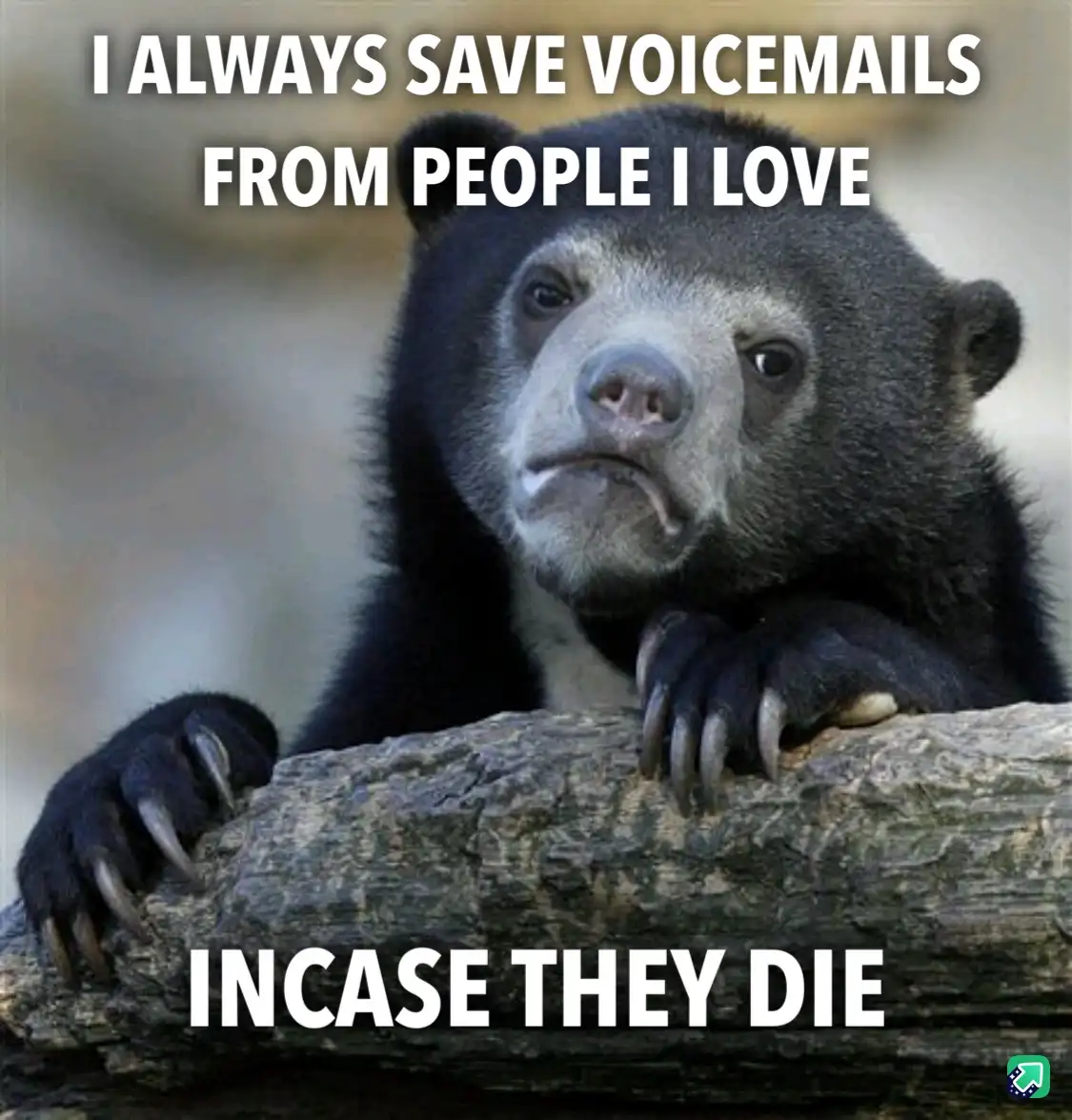 A close-up photo of a sad-looking sun bear resting its paws on a log, with white text overlaid at the top and bottom. The…