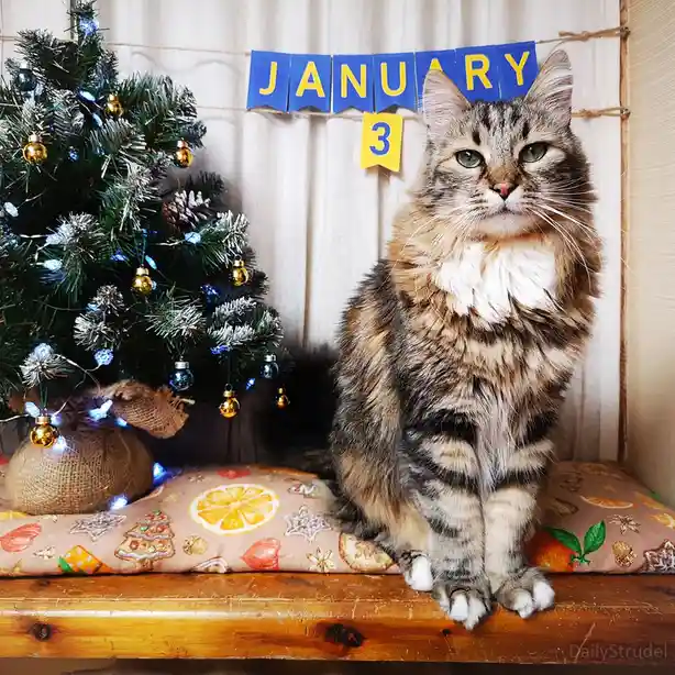 The significance of January 3rd.