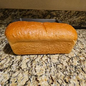 I Created This Masterpiece!