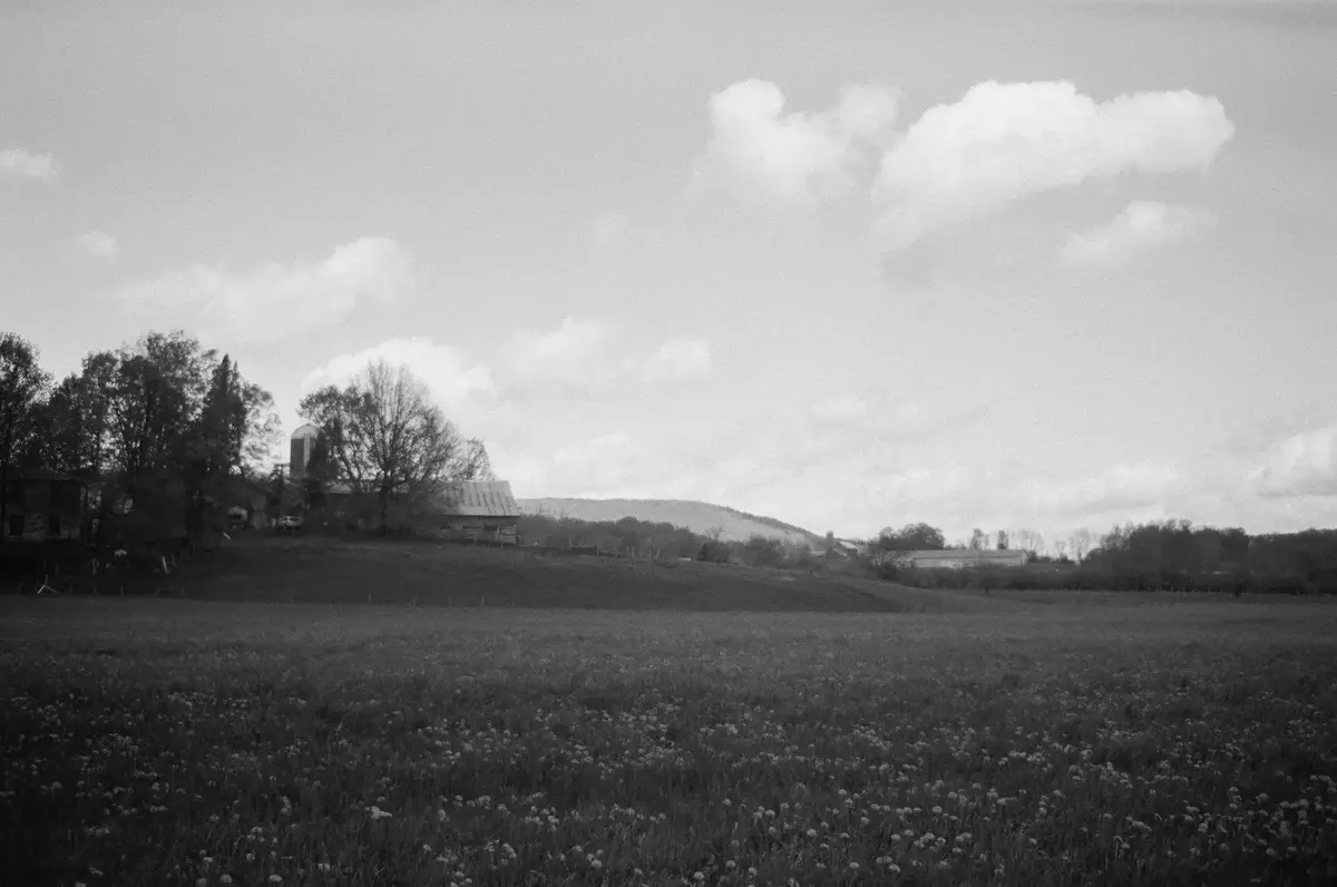 A black-and-white photo of a rural landscape with a field of wildflowers in the foreground, a barn and silo behind trees on…