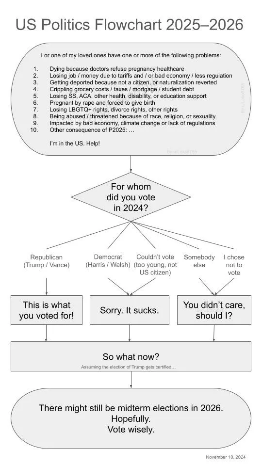 Navigating the US Politics Flowchart for 2025-2026