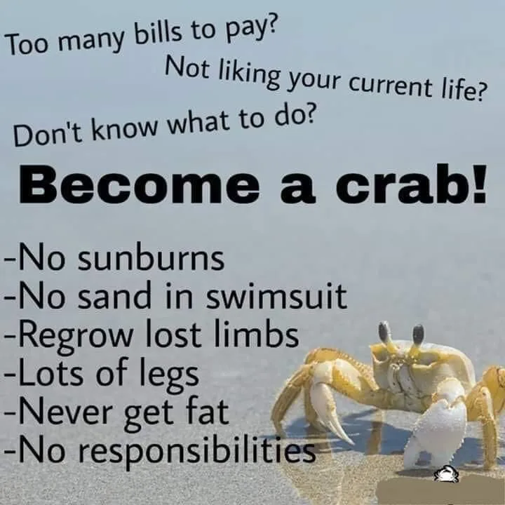 Mission: Organizing My 4278 Saved Images - Crabs Edition!