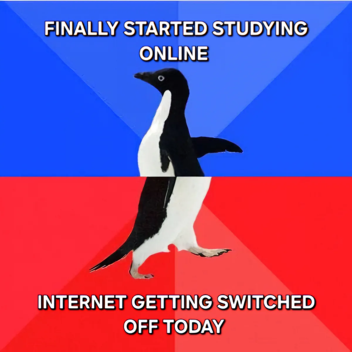 A penguin walks upward on a split background of blue and red, with text above reading 'FINALLY STARTED STUDYING ONLINE' and…