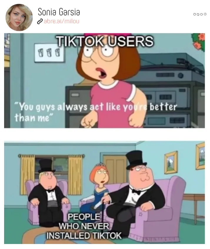 The Wild World of TikTok Users