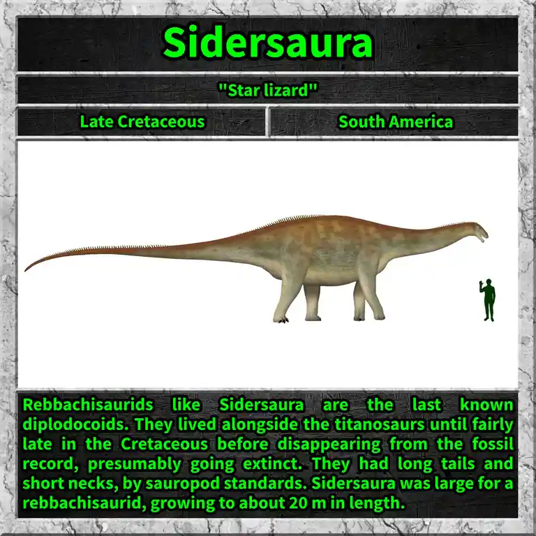The image displays a digital illustration of a long-necked, long-tailed dinosaur named Sidersaura, with a human silhouette…