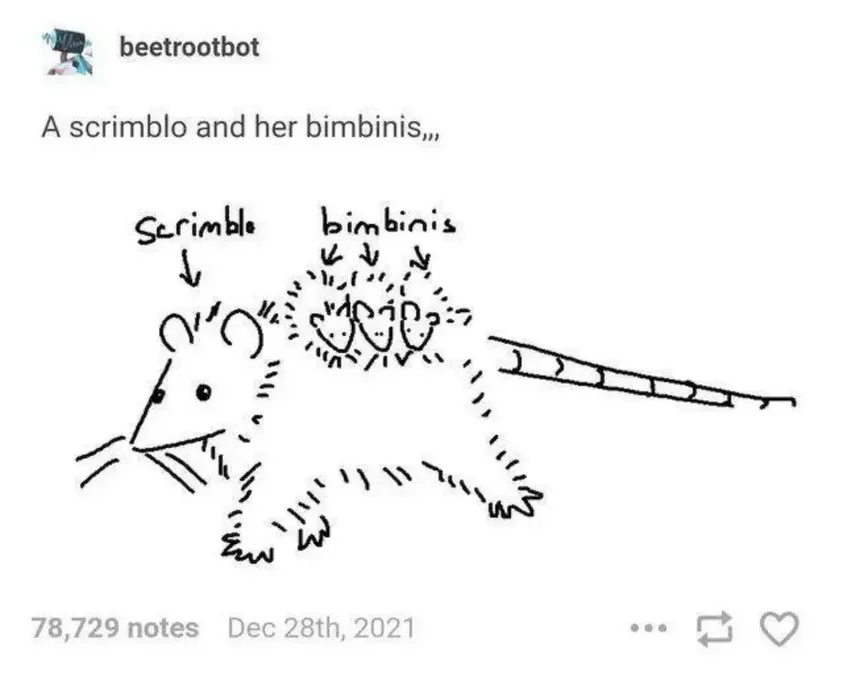 A simple black-and-white sketch shows a rat-like creature labeled 'Scrimblo' with a long tail, and behind it, a cluster of…
