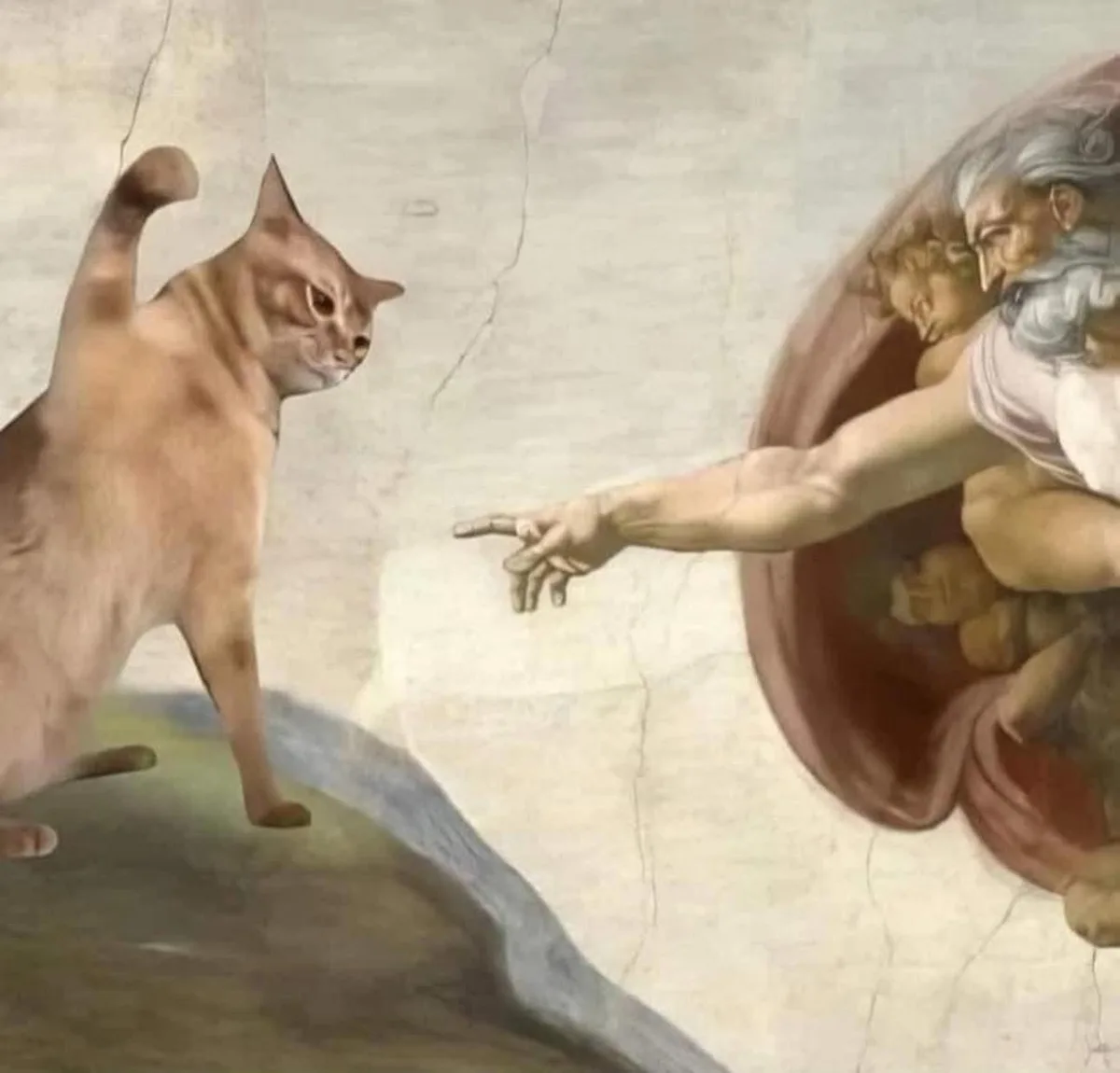 This meme replaces the human figure in Michelangelo's 'The Creation of Adam' with a cat, which is standing on a rock and…