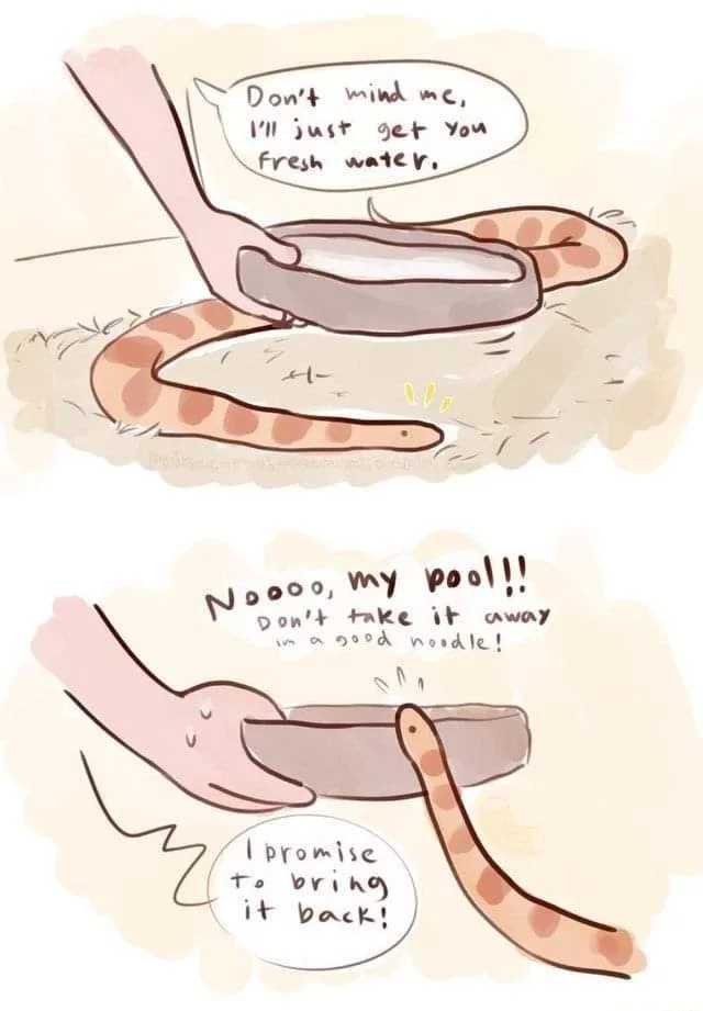 A two-panel cartoon depicts a snake with a bowl-shaped pool of water. In the first panel, a human hand offers to refill the…