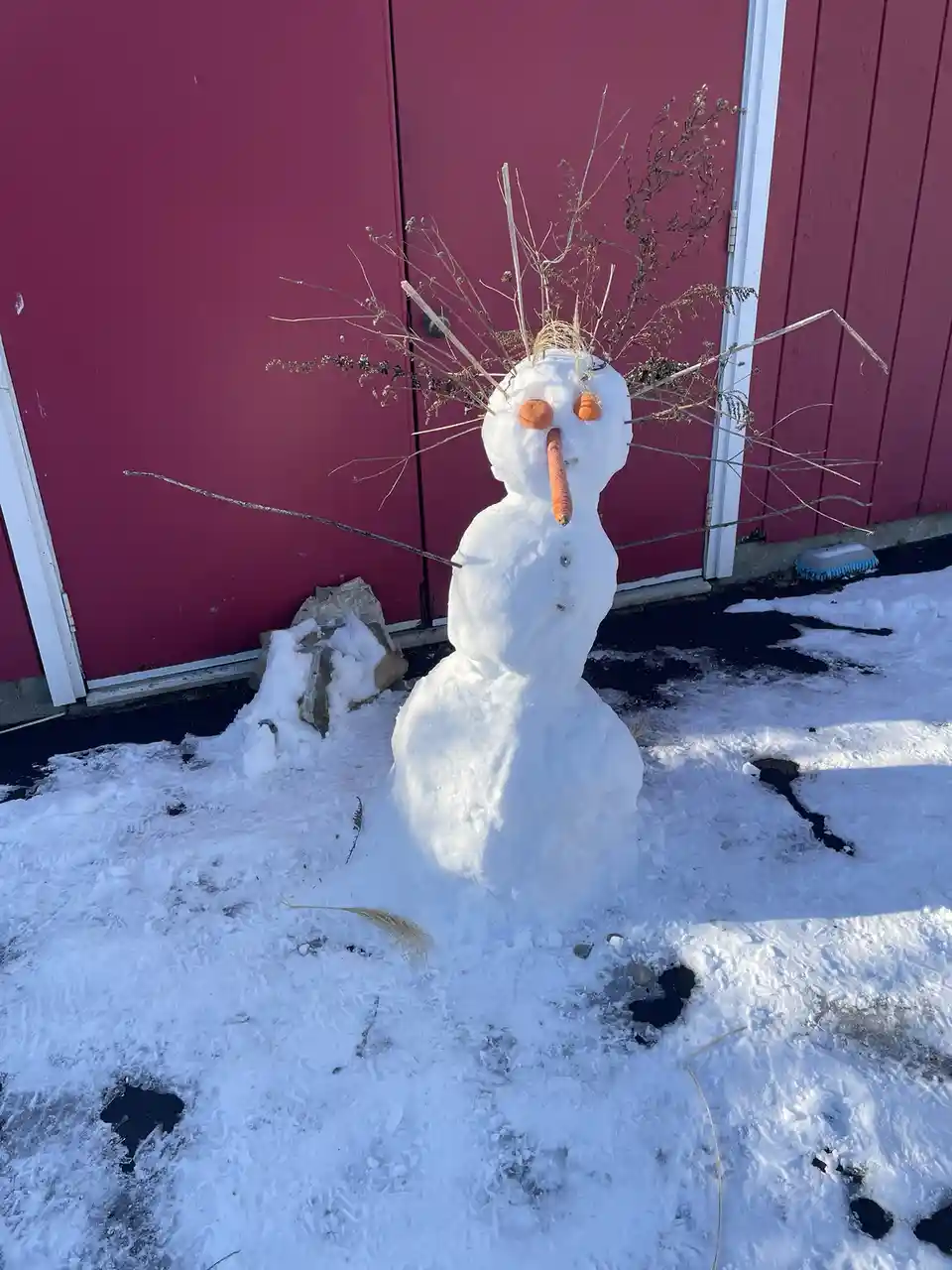 A snowman with a carrot nose, two orange stones for eyes, and a messy crown of dried twigs and grass stands in front of a…