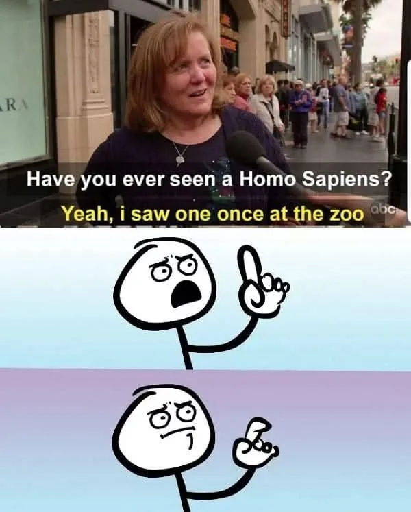 The top panel shows a woman being interviewed on a city street, with text overlaid that reads 'Have you ever seen a Homo…
