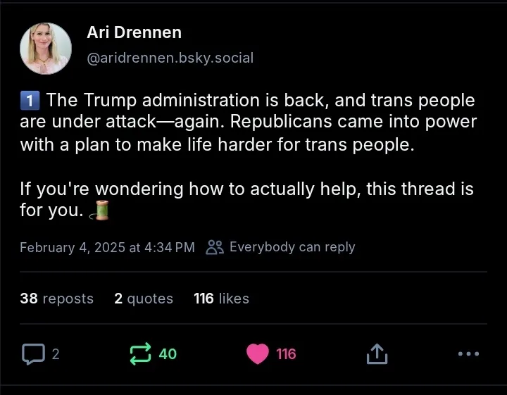 A screenshot of a social media post by Ari Drennen on a platform resembling Bluesky, dated February 4, 2025. The post…