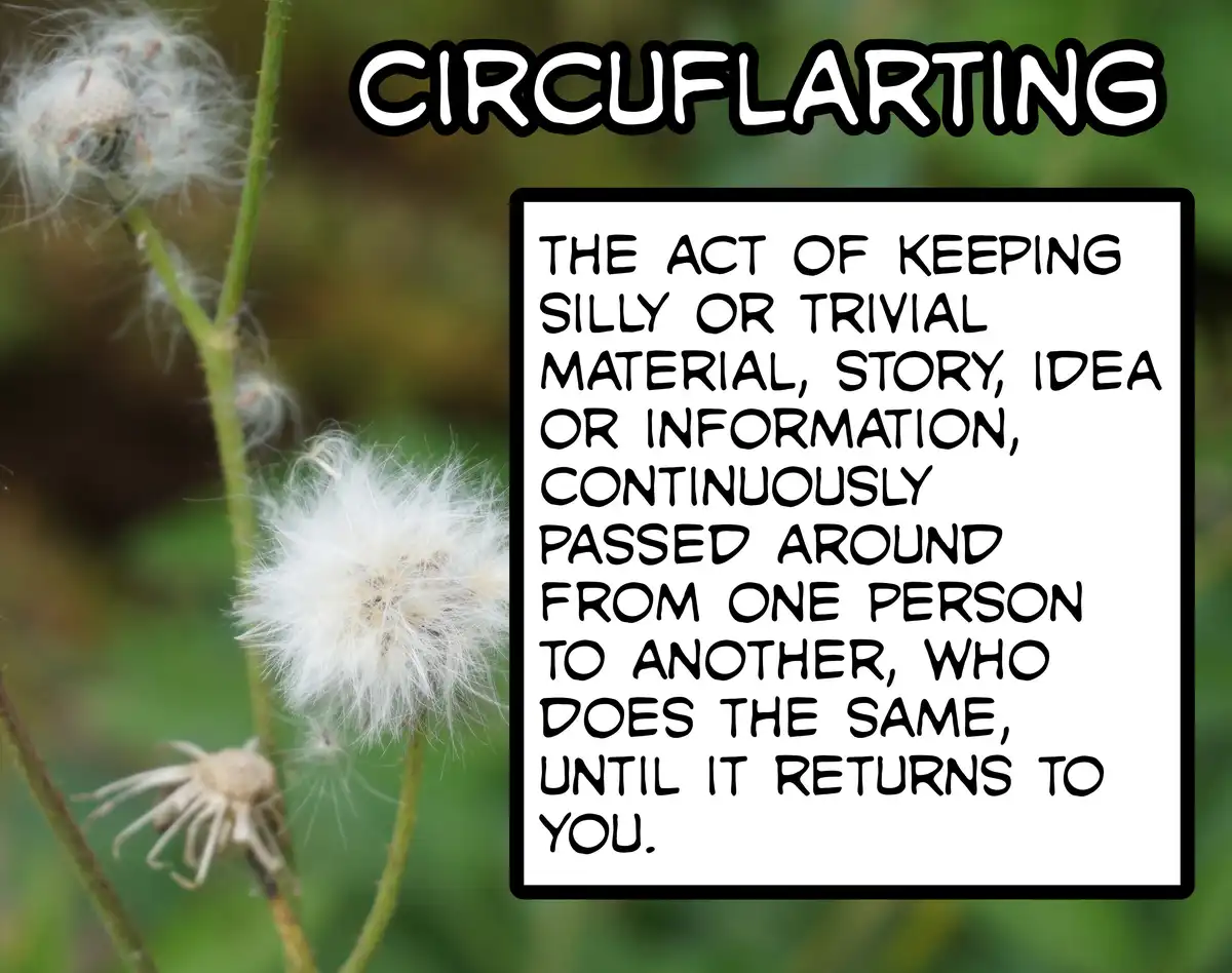A close-up photo of dandelion seed heads against a blurred green background. Overlaid text defines 'circuflarting' as the…