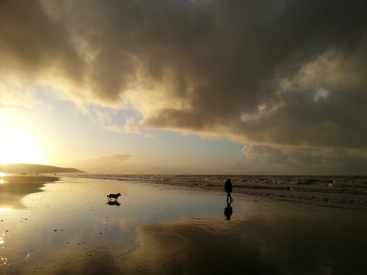A Serene Walk to the Sea