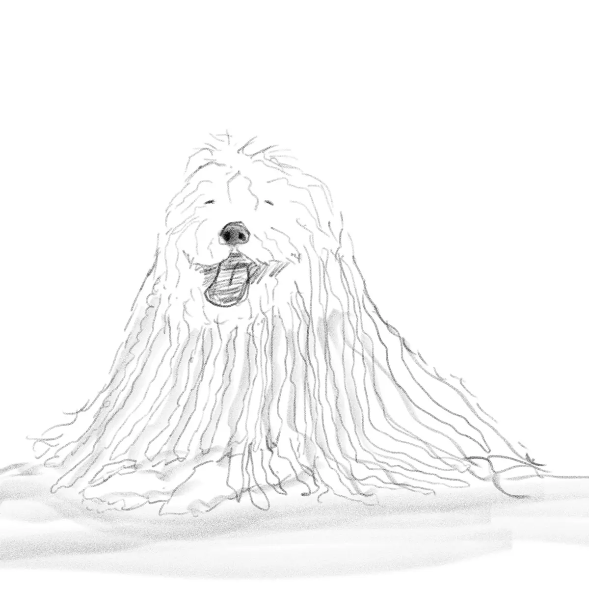 A black-and-white sketch of a dog with extremely long, stringy, mop-like fur covering its body, making it look like a mop…