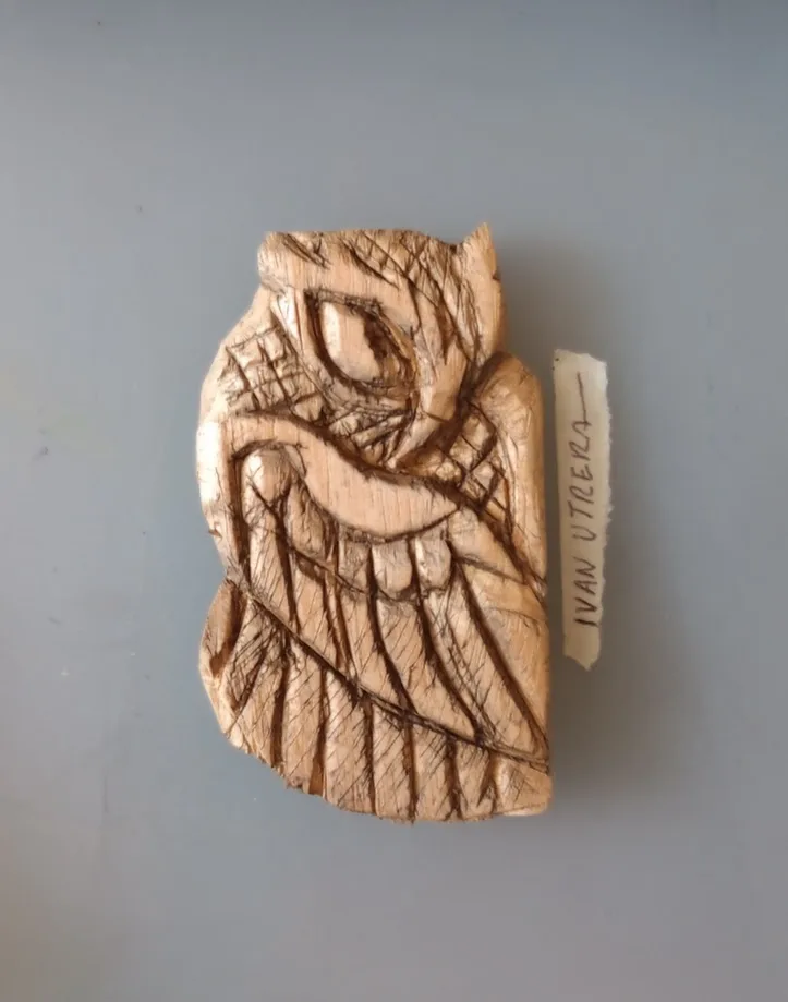 The Enigmatic Owl: Nature's Wise Guardian