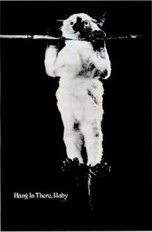A black and white photo shows a white-furred animal, likely a koala, hanging upside down from a horizontal bar with its paws…