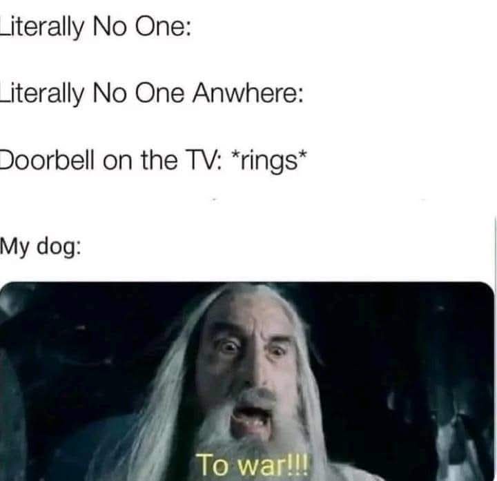 This happens every single time