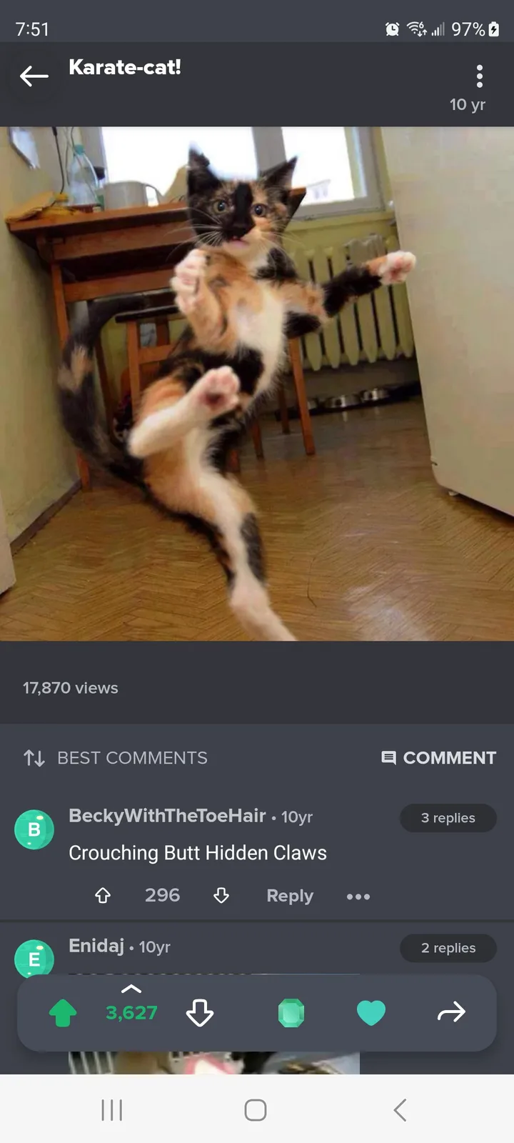 A calico kitten is captured mid-air in a dynamic, martial arts-like pose with paws extended, resembling a karate kick. The…