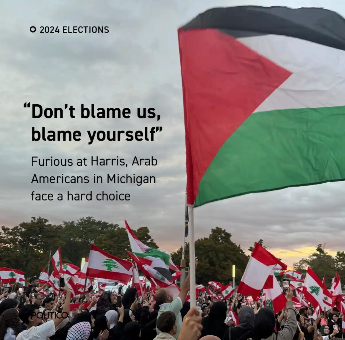 A crowd of people holds Lebanese flags at a rally under a large Palestinian flag, with text overlay reading 'Don't blame us…