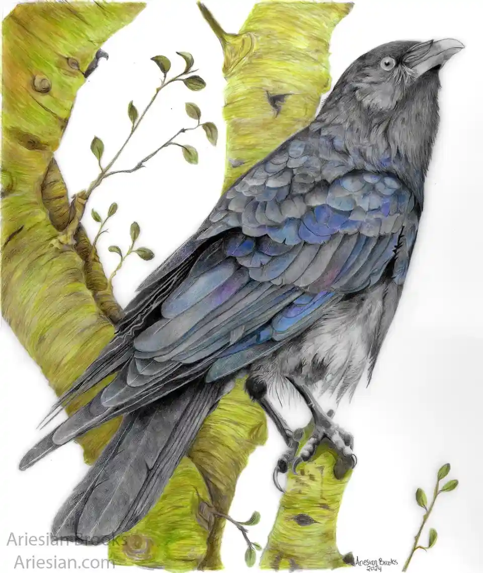 The Mysterious Crow: Nature's Shadow