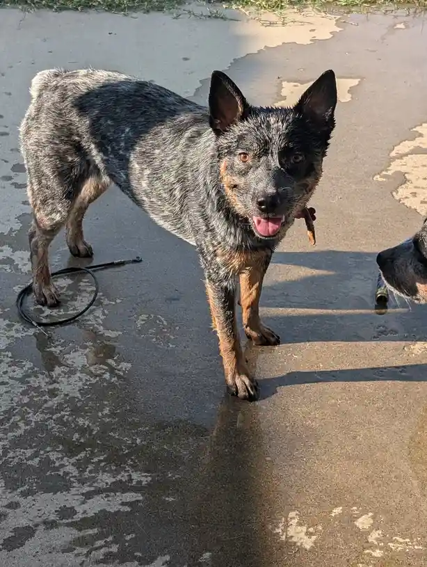 My adorable little ones