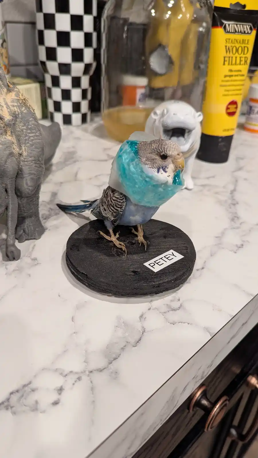 A small blue and grey budgerigar, named 'PETEY' as written on its black base, is perched on a marble countertop and has a…