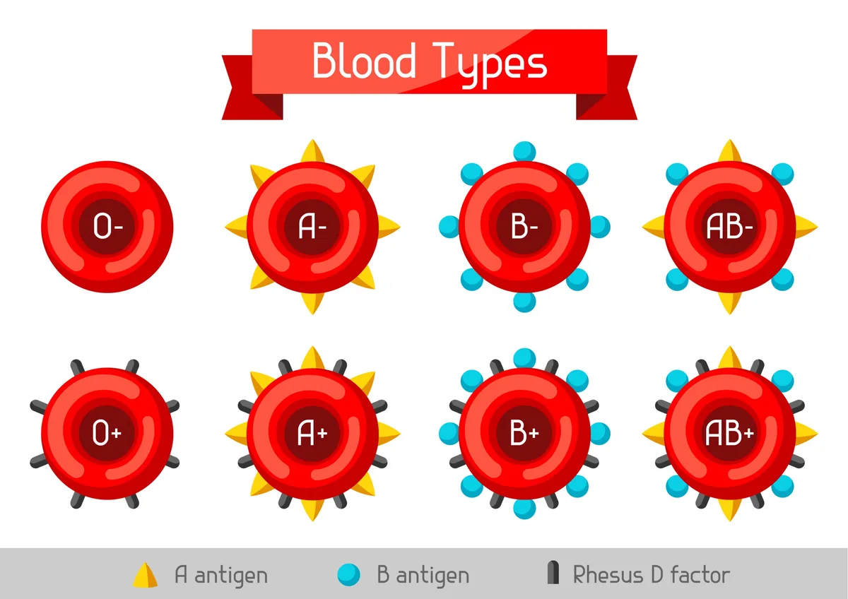 An educational infographic showing eight cartoon blood cells labeled with blood types: O-, A-, B-, AB-, O+, A+, B+, and AB+…