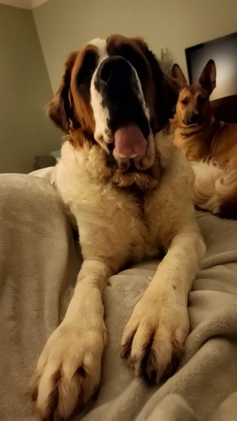 You're sitting in my favorite spot!