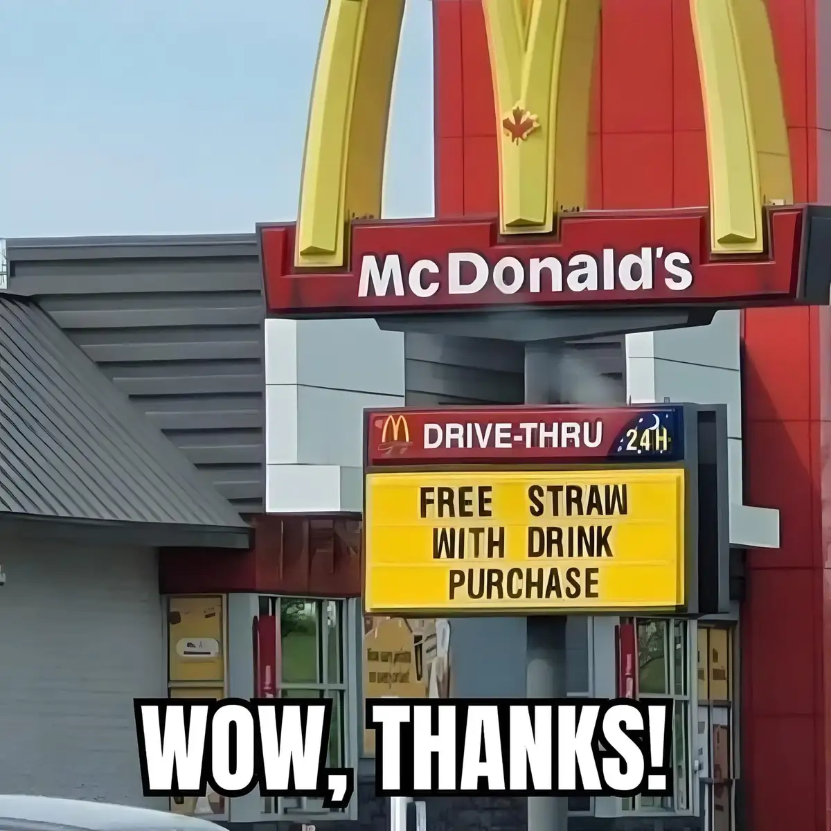 You won't believe this amazing deal!