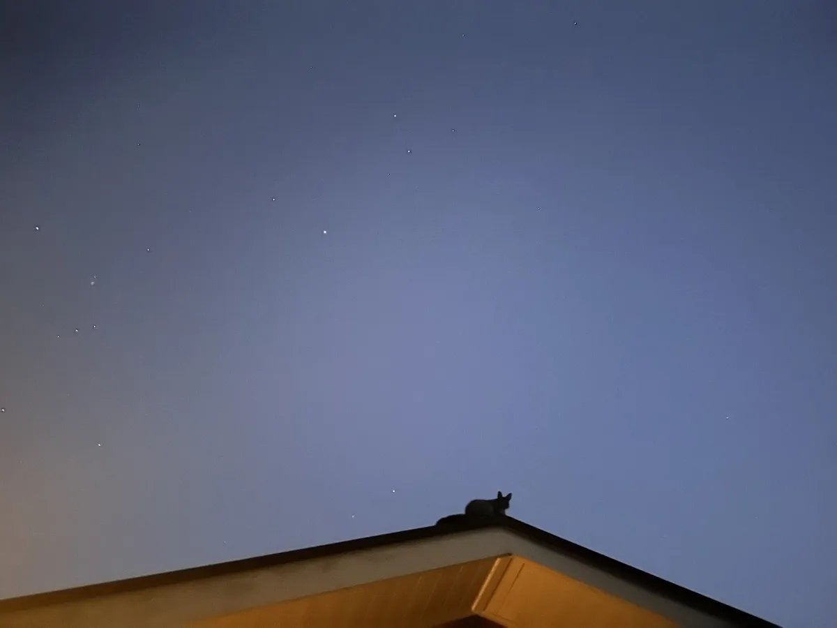 Wait, is that Santa I hear on the roof?