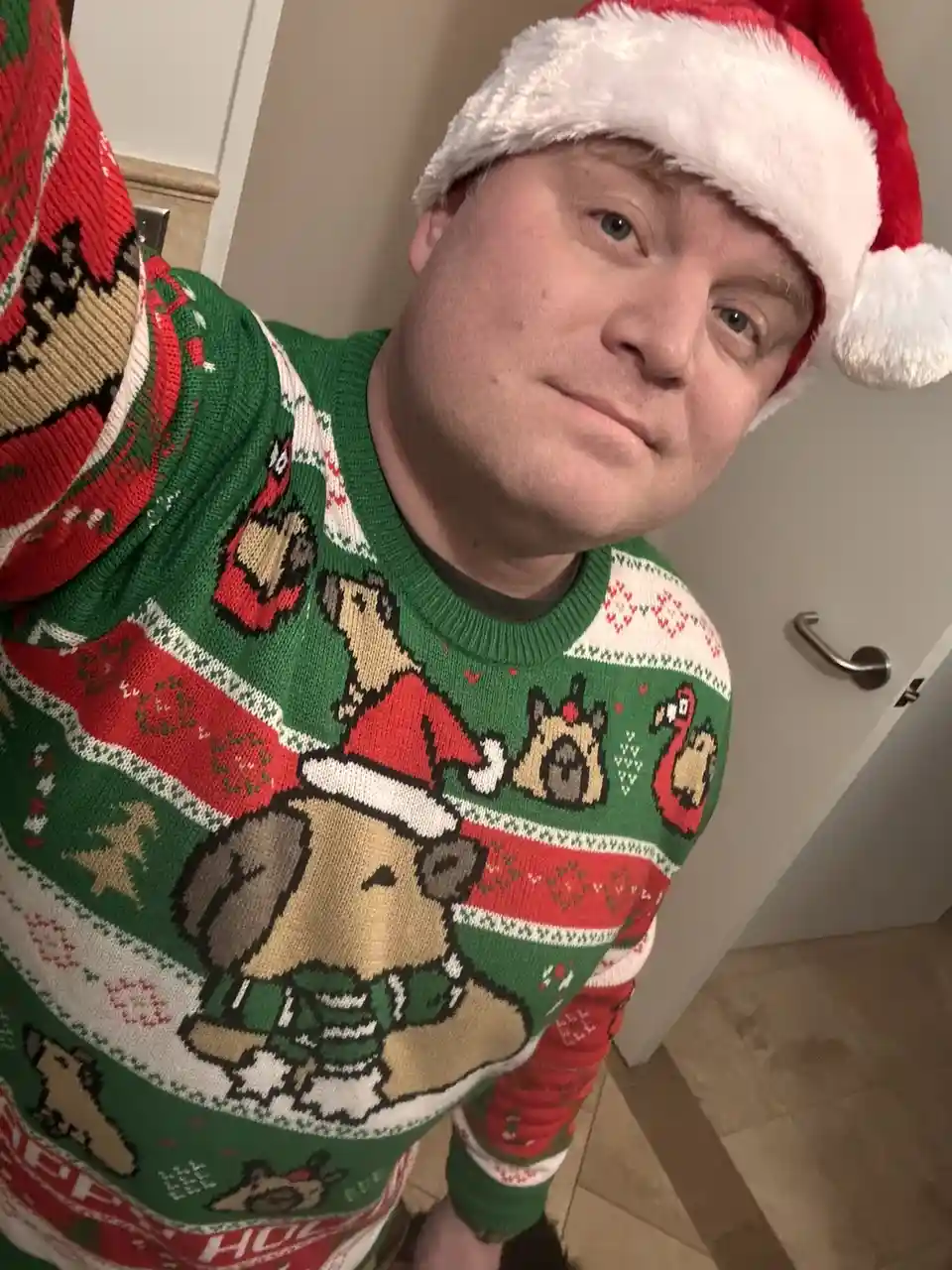 A man wearing a red and white Santa hat and a green, red, and white Christmas sweater covered in cartoon dogs wearing Santa…