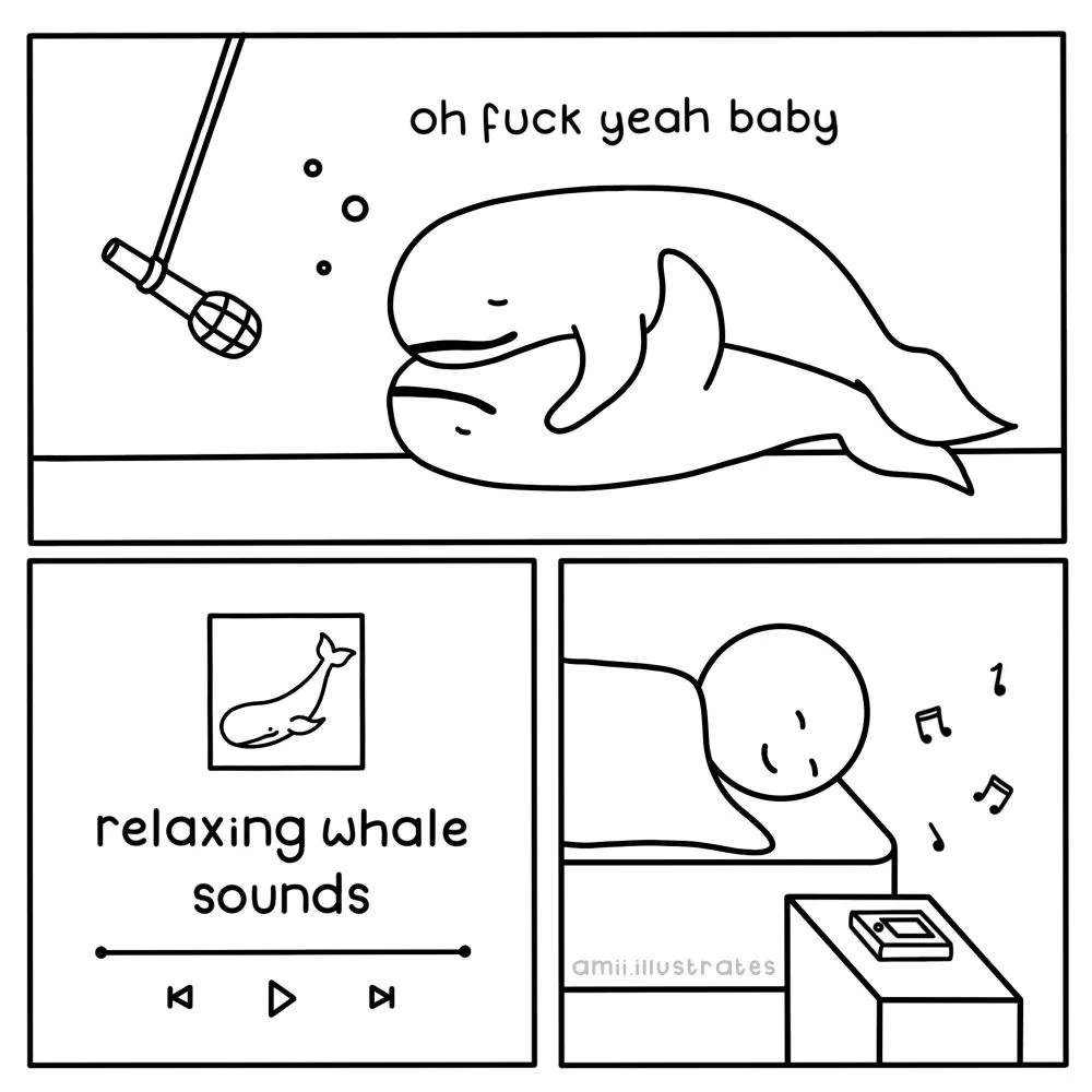 A black-and-white comic strip with three panels: top panel shows a whale singing into a microphone with the text 'oh fuck…