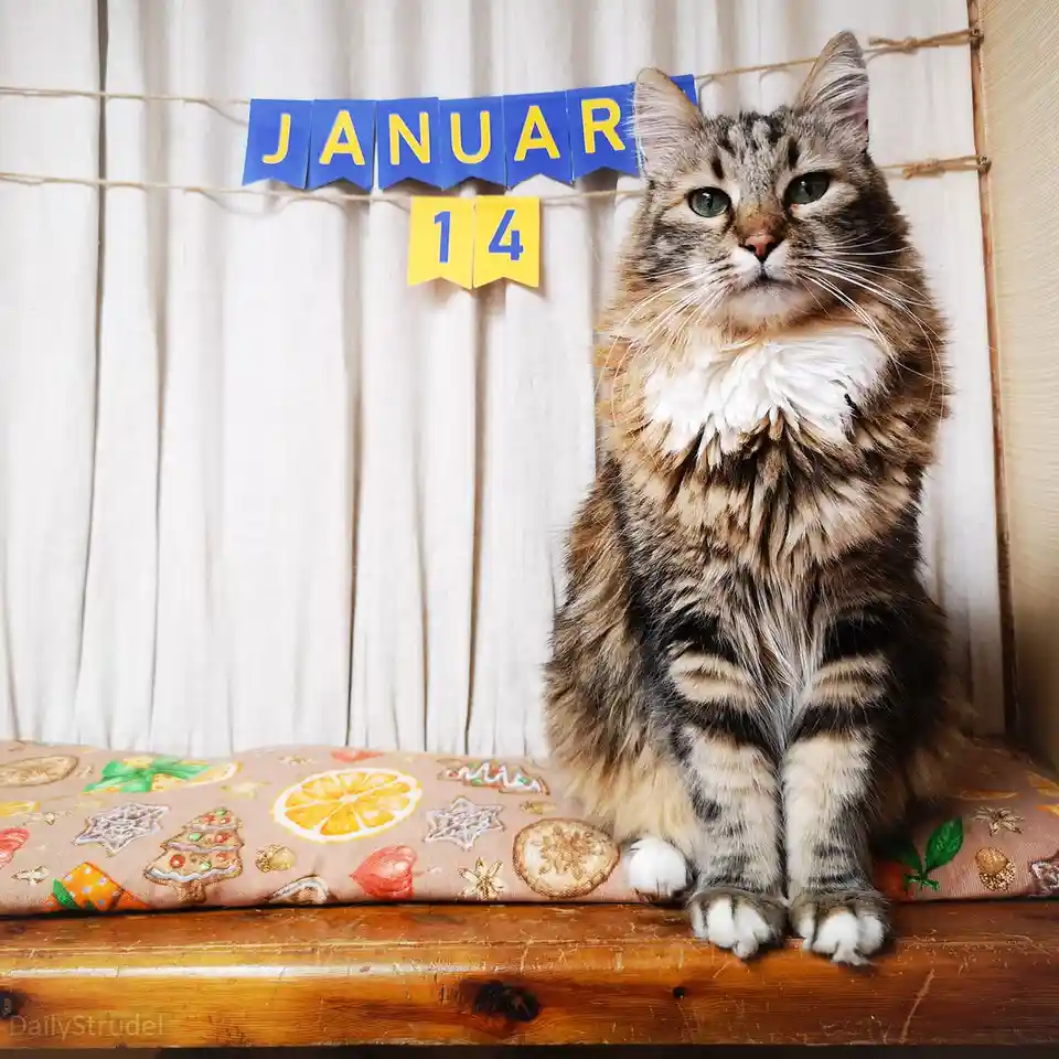 Mark Your Calendars: January 14 is Here!