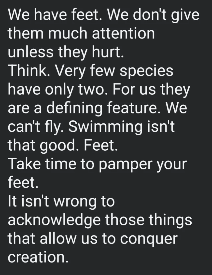 The image displays white text on a solid black background, presenting a reflective monologue about human feet. The text…
