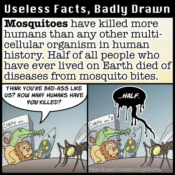 Useless Facts: Badly Drawn is Not Ready for 2025!