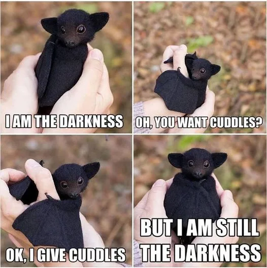 It's Bat Time! Get Ready for Some Heroic Adventures