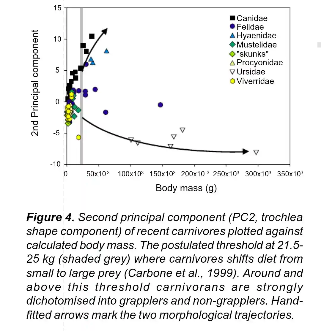 A scientific scatter plot titled 'Figure 4' shows carnivore species plotted by body mass (g) on the x-axis and second…